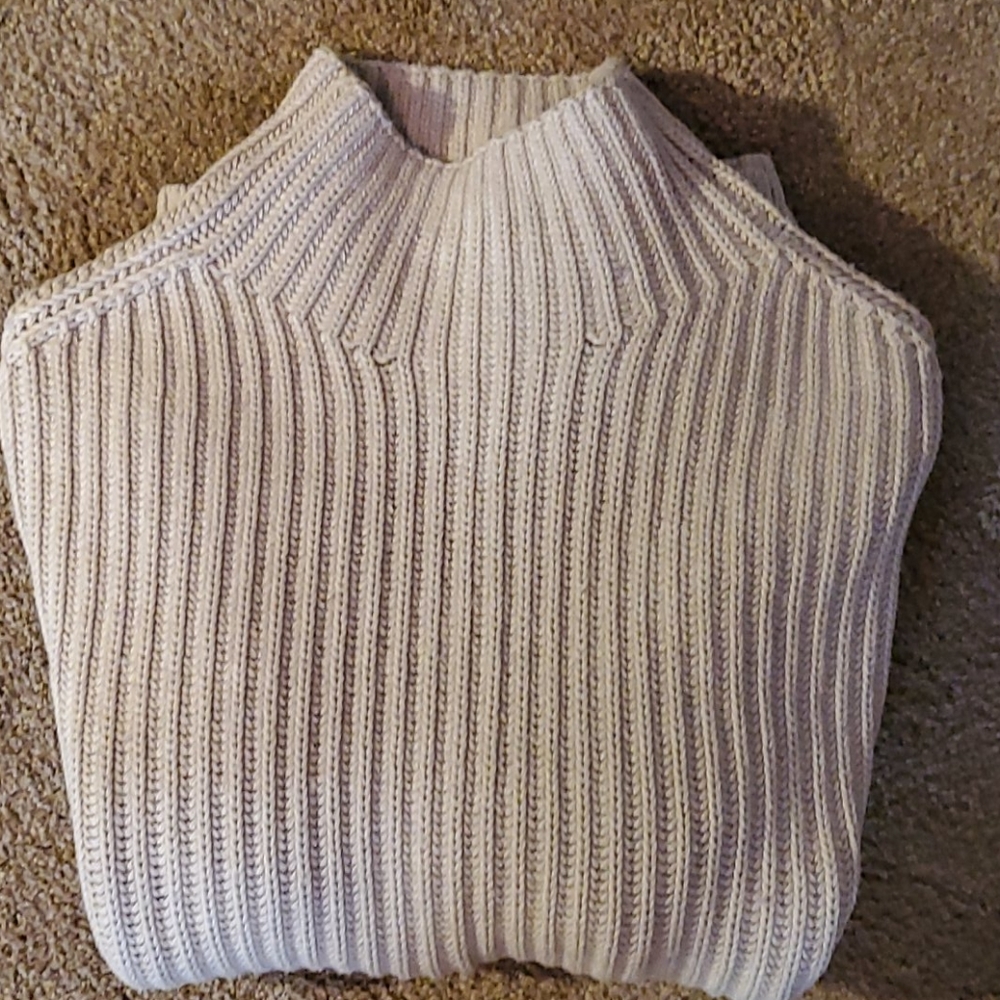 GAP sweater,